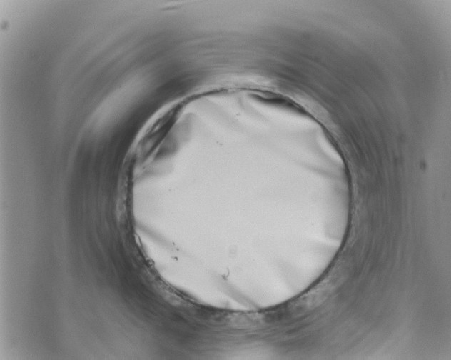 X0000073700912200608311726