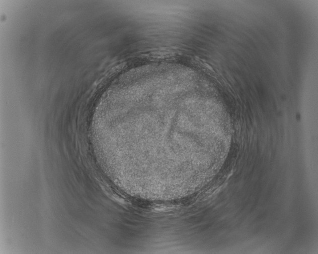 X0000073700913200608311726