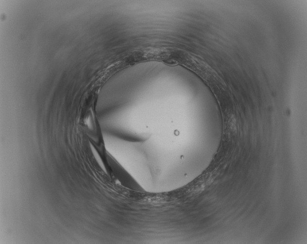 X0000073700914200608311726