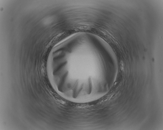 X0000073700915200608311726