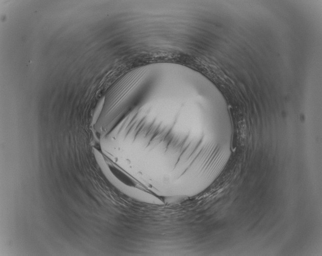 X0000073700916200608311726