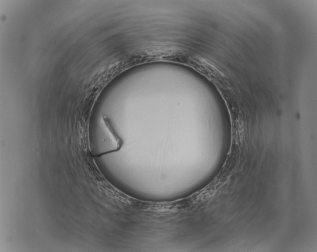 X0000073700917200608311726