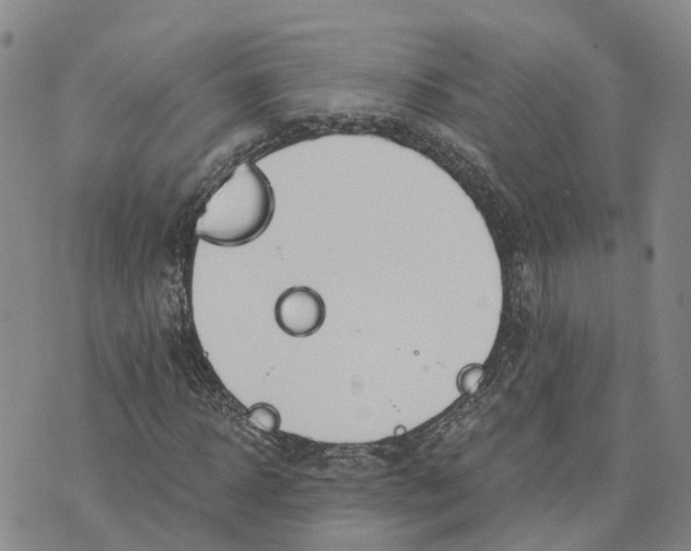 X0000073700918200608311726