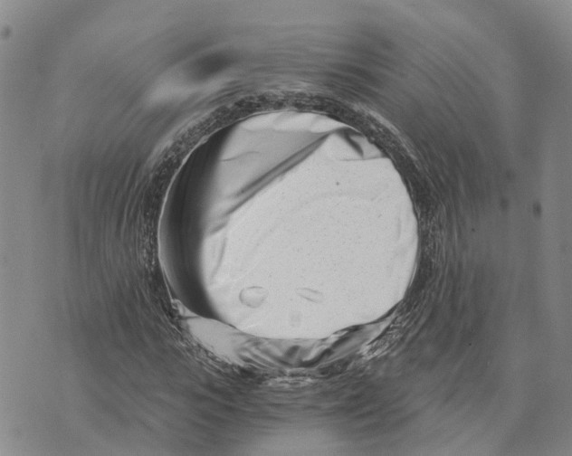 X0000073700919200608311726