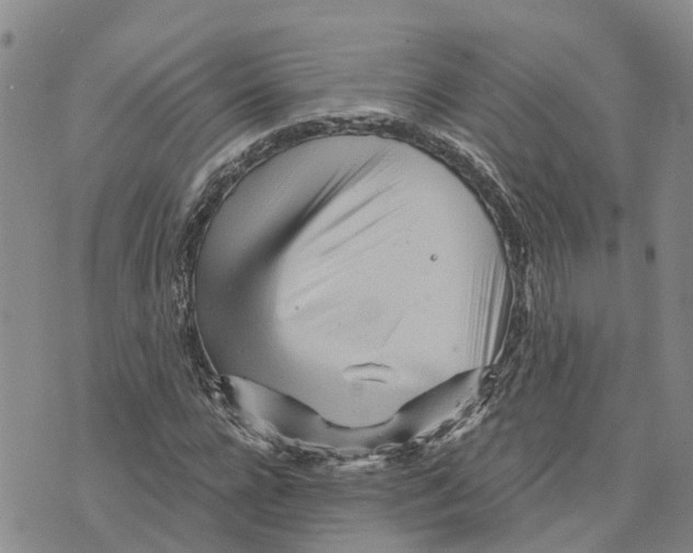 X0000073700920200608311726