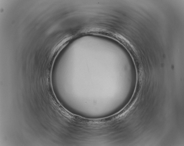 X0000073700921200608311726