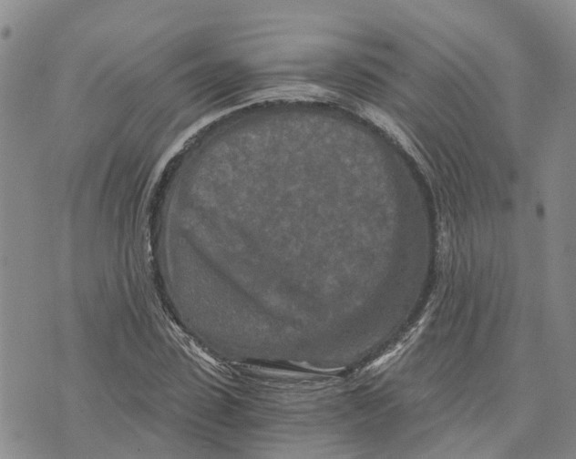 X0000073700923200608311726