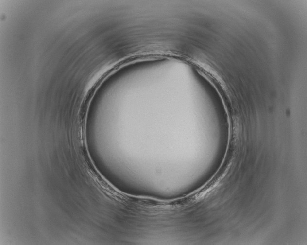 X0000073700925200608311726