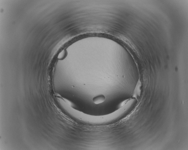 X0000073700926200608311726