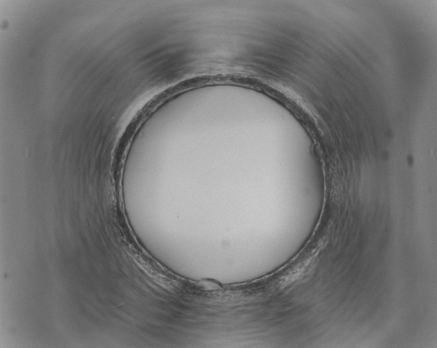 X0000073700927200608311726