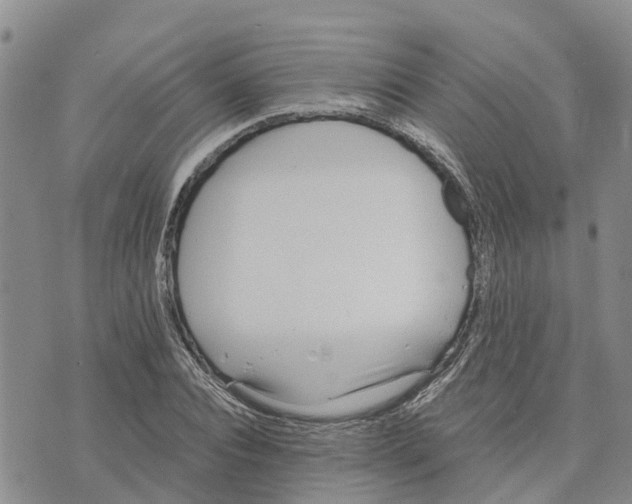 X0000073700928200608311726