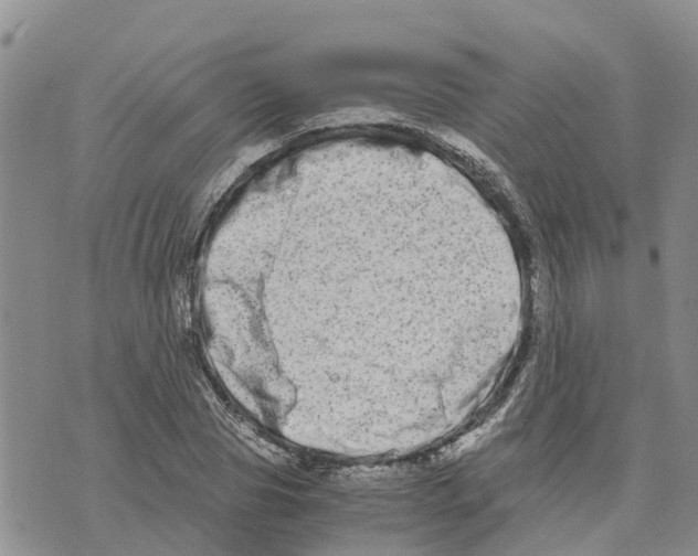 X0000073700929200608311726