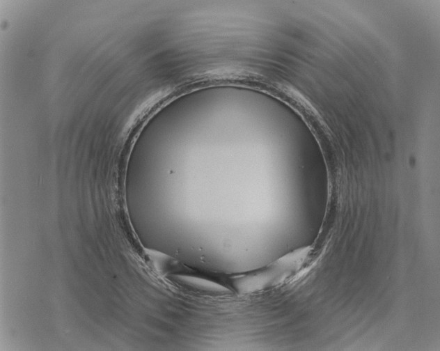 X0000073700930200608311726