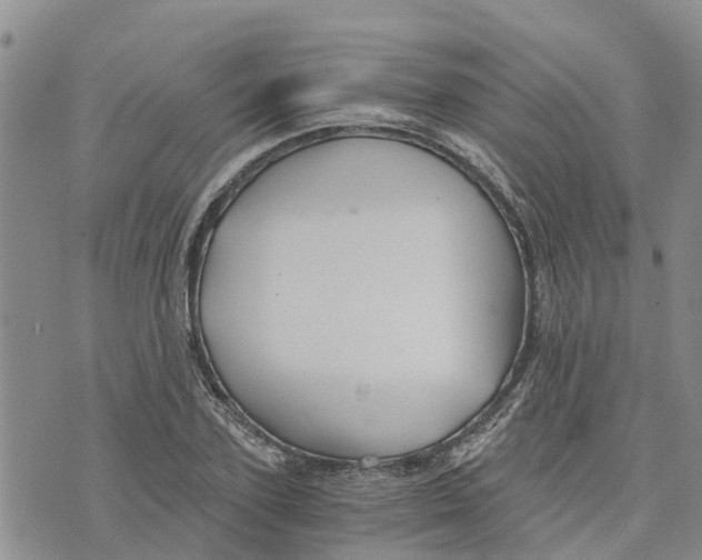 X0000073700931200608311726