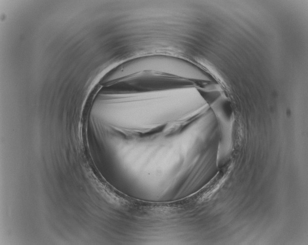 X0000073700932200608311726