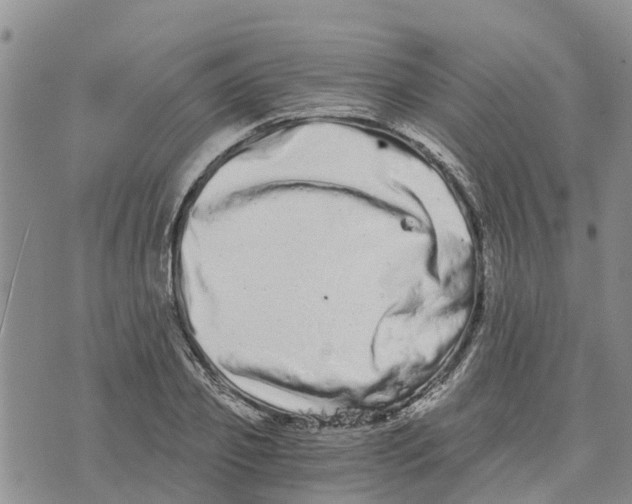 X0000073700933200608311726