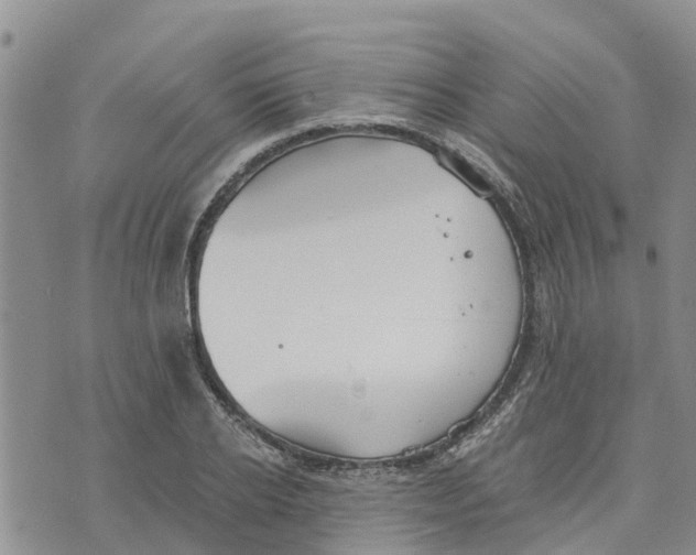 X0000073700934200608311726