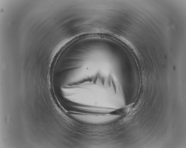 X0000073700935200608311726