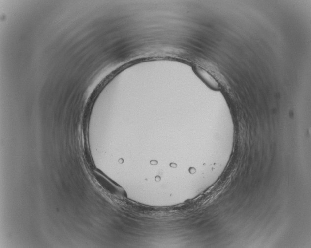 X0000073700936200608311726