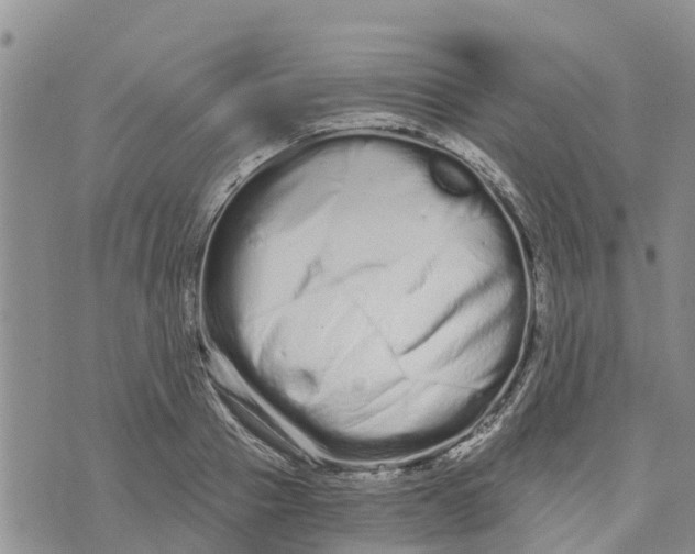 X0000073700937200608311726