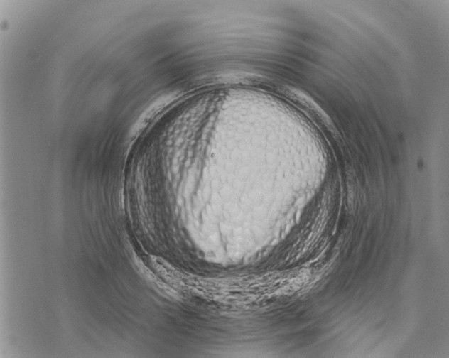 X0000073700938200608311726