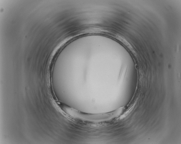 X0000073700939200608311726