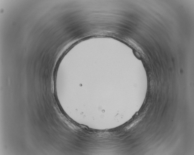 X0000073700940200608311726