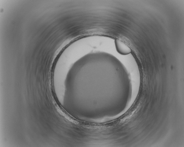 X0000073700941200608311726