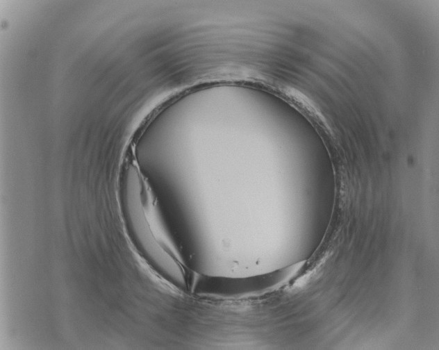 X0000073700942200608311726