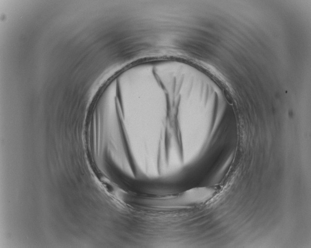 X0000073700943200608311726