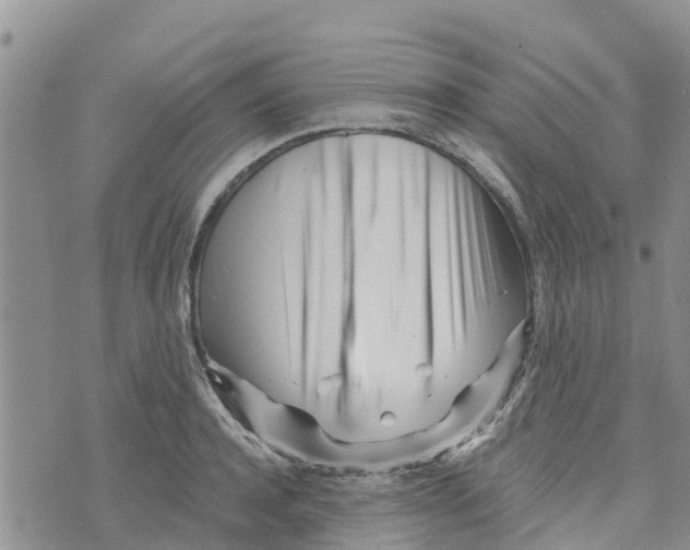 X0000073700944200608311726