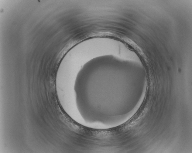 X0000073700945200608311726