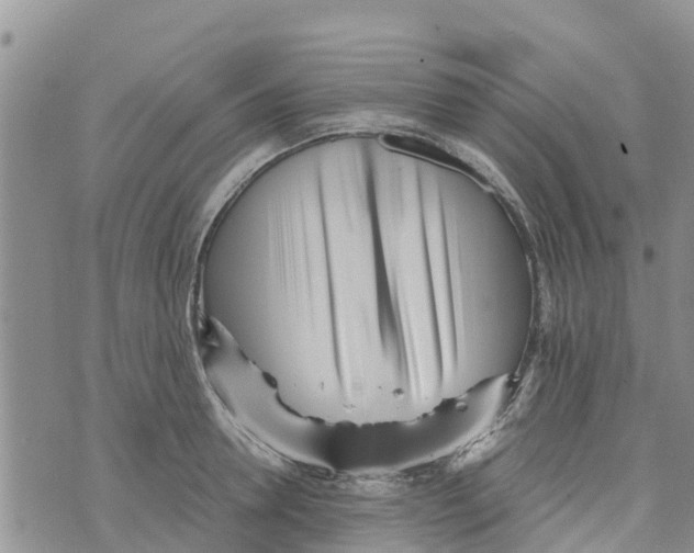 X0000073700946200608311726