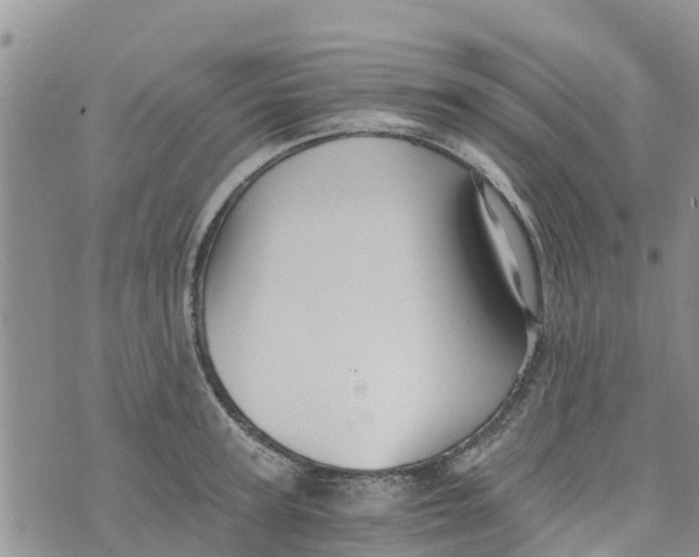 X0000073700947200608311726