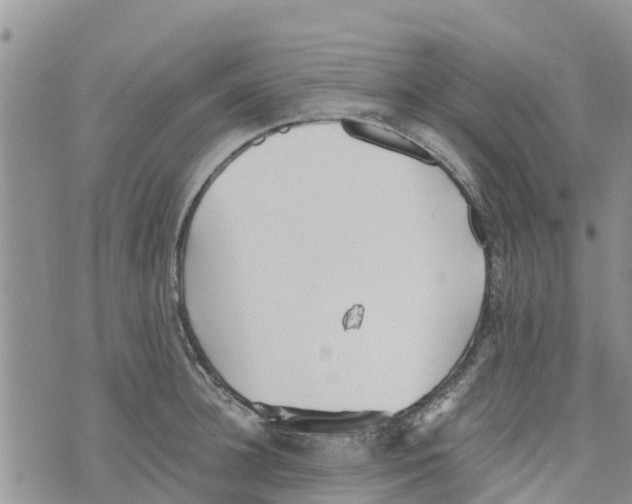 X0000073700948200608311726