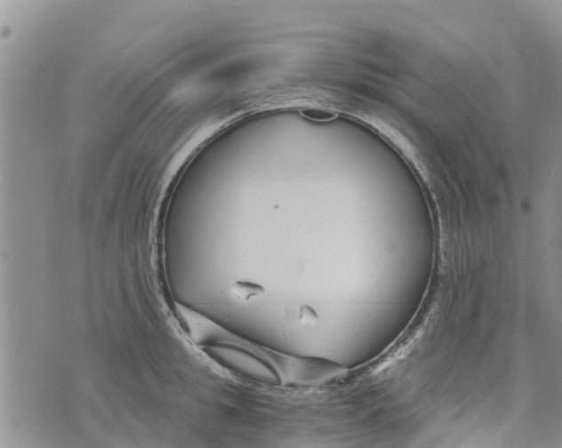 X0000073700949200608311726