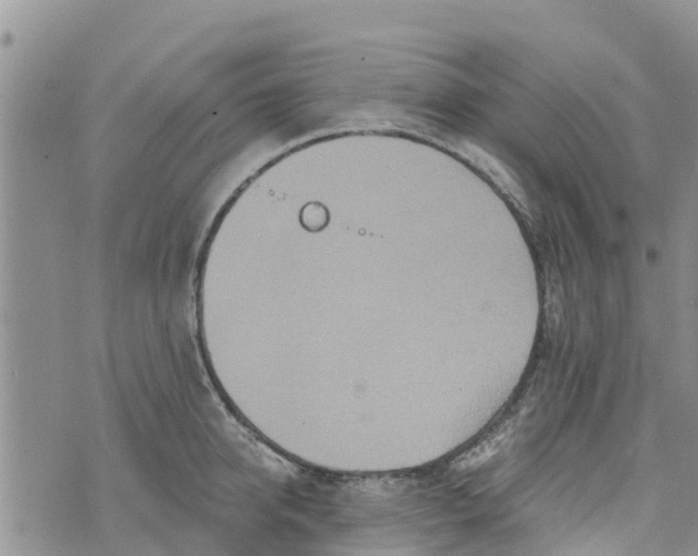 X0000073700950200608311726