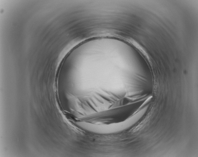 X0000073700951200608311726