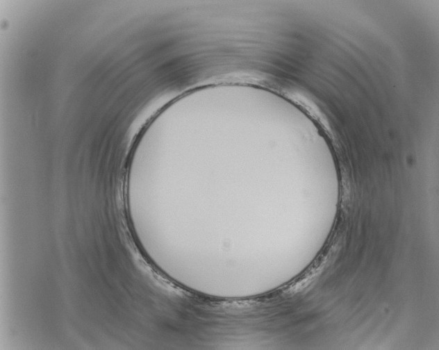 X0000073700952200608311726