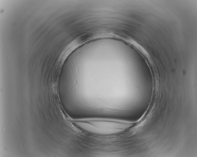 X0000073700953200608311726