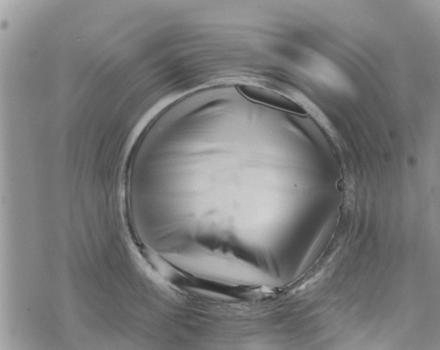 X0000073700955200608311726