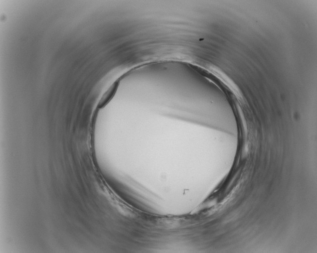 X0000073700956200608311726