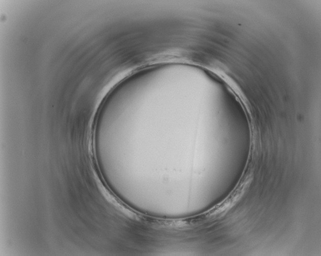 X0000073700957200608311726