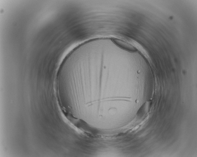 X0000073700958200608311726