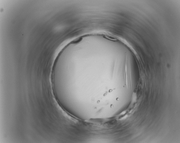 X0000073700959200608311726