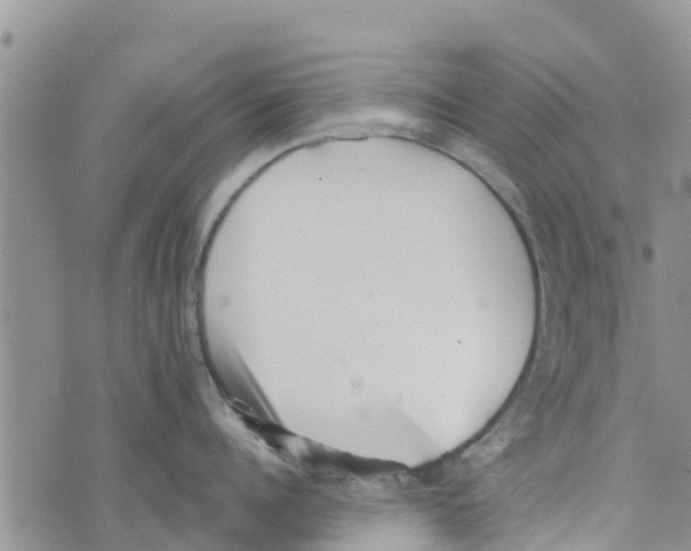 X0000073700960200608311726