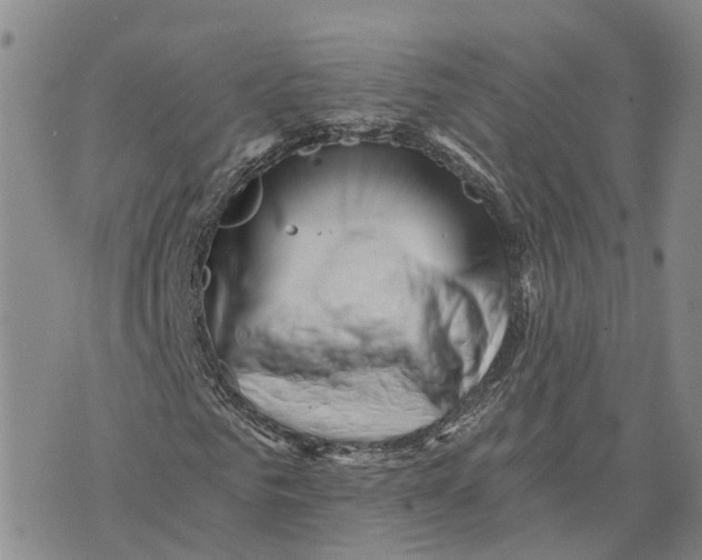 X0000073700961200608311726