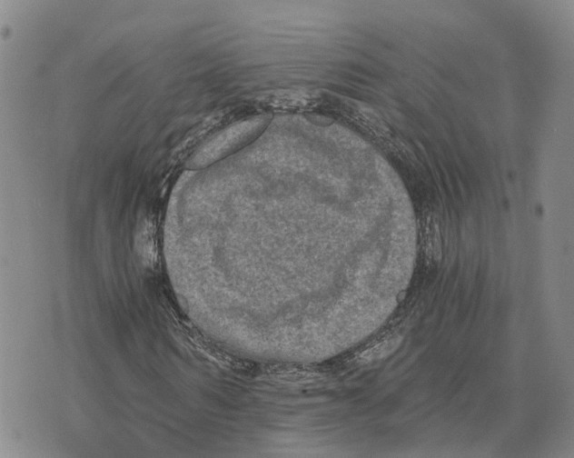 X0000073700962200608311726