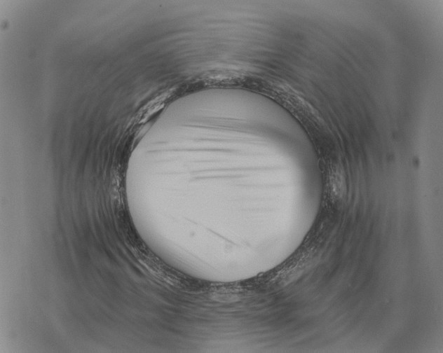 X0000073700964200608311726