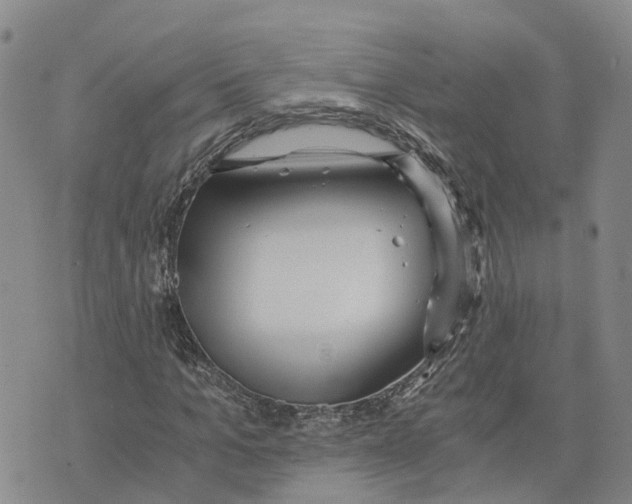 X0000073700965200608311726